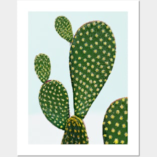 Fancy Cactus Posters and Art